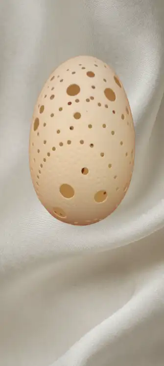 Sublimez votre intérieur avec l’art délicat de L3DPRINT : des sculptures sur œuf minutieusement travaillées, où chaque détail est sculpté avec finesse. Ces pièces raffinées, à la fois poétiques et modernes,.