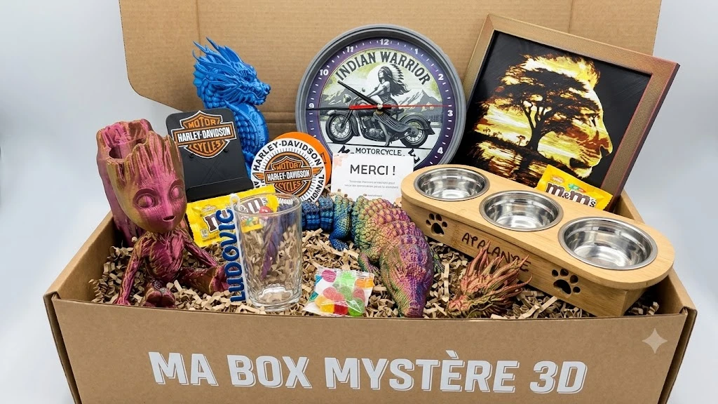 Box Surprise L3DPrint – 39,90 €